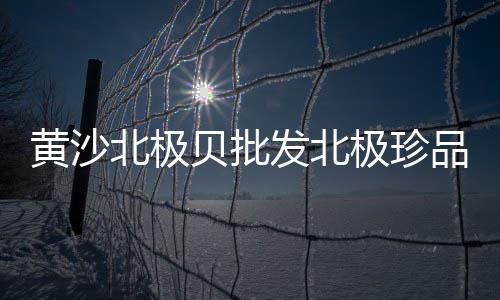 批发零售水泥沙砖价格、荔湾水泥零售多少钱一桶、大连零售水泥沙子价格表、赤峰市水泥标砖零售店