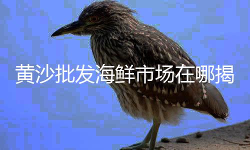 抚顺水泥批发零售店电话、怀来水泥零售、水泥零售电话、水泥井盖零售