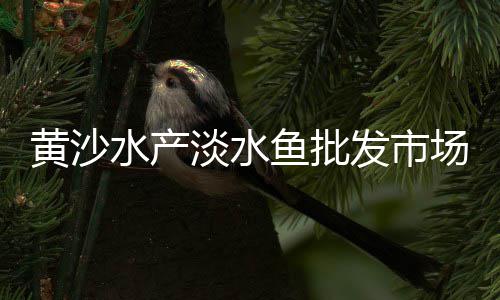 溧阳石子瓜子片批发市场、河南沙子石子市场行情、建邺区小石子批发市场、燕郊沙子石子批发市场