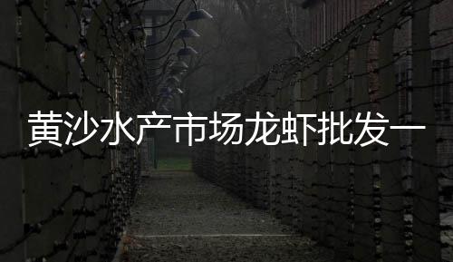 黄沙文具批发广州、黄沙批发价格、黄沙海鲜批发、广州黄沙海鲜批发