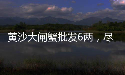 广州黄沙水产零售吗、济南黄沙水泥批发零售点、广州黄沙零售哪家好吃又实惠、黄沙新零售体验中心地址