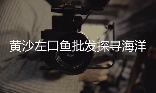 安徽水泥黄沙陶粒批发、建邺区哪里有黄沙批发厂、增城黄沙批发哪家好点呢、舒城黄沙石子水泥批发