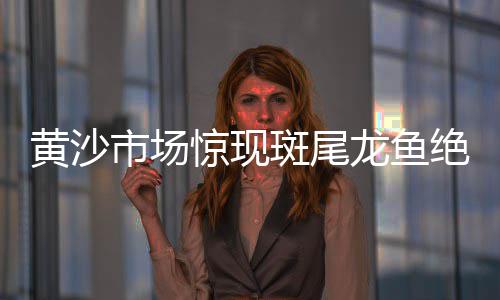 济南市水泥墩批发市场、全球水泥市场排名、云南水泥市场分布、2020新疆水泥市场