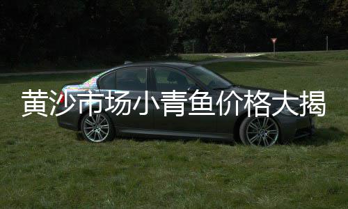 佛山市石子批发厂家、昆明造景石子批发、信宜石子批发电话、贵阳修文石子批发