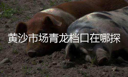 上海黄沙一包 价格、上海批发水泥黄沙市场电话、上海市黄渡水泥黄沙联系、上海黄沙砖厂家电话多少