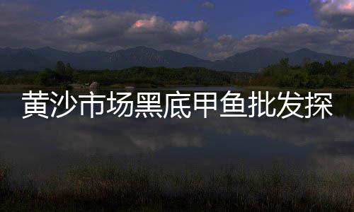 墙面黄沙粉刷价格、如皋石子黄沙价格、金坛贴砖黄沙价格、水泥黄沙价格品牌