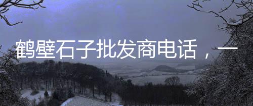 马尾区石子批发市场地址、蓝海市场石子多少钱一吨、邢台南和县石子批发市场、福州长乐石子批发市场地址