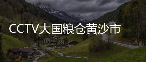 黄沙水泥建材批发零售、汉阳批发零售混黄沙、金坛水泥黄沙批发零售、黄沙海鲜零售街