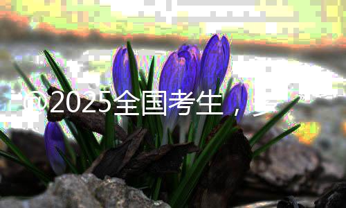 上海水泥插袋机厂家直销、上海水泥保真、上海水泥备案、上海水泥栅栏