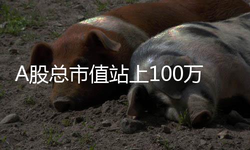 石子批发石头、岫玉石子批发厂家地址、利辛黄沙石子水泥批发、阳信县白石子批发